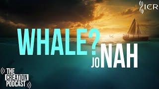 What REALLY Swallowed Jonah?