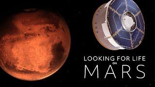 Looking for Life on Mars | Full Documentary I NOVA | PBS