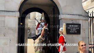 Royal Refusal: When the King's Guard Horse Kept Leaving the Box!