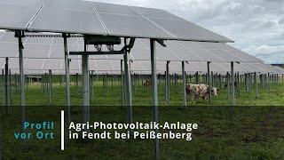 Agri-PV-Anlage der Energiegenossenschaft Oberland in Peißenberg