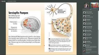 ADHS - wie kann Homoeopathie helfen