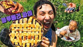 직접 키운 블루베리로 파이 만들어 먹깅! | [동숙이] 블루베리 파이 레시피 &먹방(Blueberry Pie)