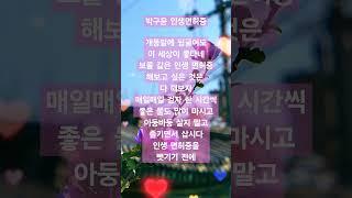 박구윤인생면허증 박구윤 인생면허증 #가요 #트로트 #노래 #음악감상 #음악 #사랑 #트롯 #감성 #박구윤 #인생면허증