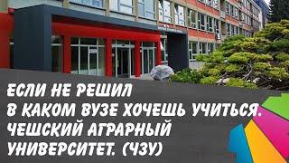 ВУЗ где легко учиться? Чешский Агротехнический Университет. ЧЗУ