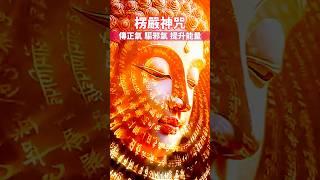30秒消除全身不適《楞嚴神咒》傳正氣 驅邪氣 提升能量 #花覺醒 #咒語