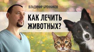 Как лечить животных по методу Бронникова? Владимир Бронников