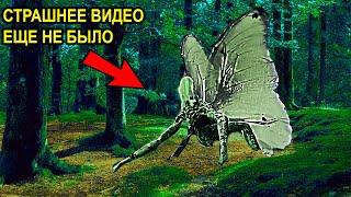 Новые Мистические Видео. Паранормальное. Мистика