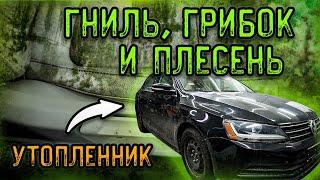 ГНИЛОЙ САЛОН В ПЛЕСЕНИ И ГРИБКЕ ! РЕСТАВРАЦИЯ УТОПЛЕННИКА ! ИДЕАЛЬНАЯ ХИМЧИСТКА САЛОНА АВТОМОБИЛЯ !