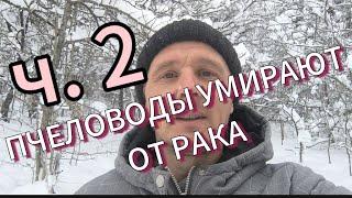 ПЧЕЛОВОДЫ ПРОИЗВОДЯТ ЯДЫ И САМИ БОЛЕЮТ.