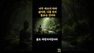 너무 애쓰지 마라, 삶이란 나를 먼저 돌아보는 것이다ㅣ부처님말씀ㅣ석가모니ㅣ명언ㅣ불교ㅣ행복ㅣ마음 #명언 #자기수행 #좋은글