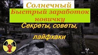 Will To Live Online. Гайд по быстрому заработку в "Солнечном" для новичков. Топ лут. Секреты, советы