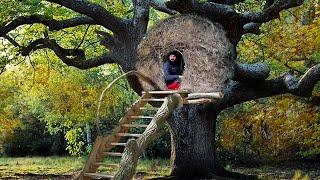 Building a Hay Shelter on a Tree