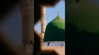 mari ulfat madina sw #viralvideo #trendingshorts