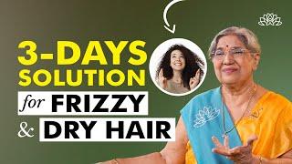 Dry hair treatment & solution | Frizzy hair solution | Dry hair home remedies | Dry hair causes