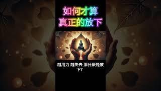 如何才算真正的放下？為何你的人生卡住了？因為你還不懂「性空」真正的意義！ #開悟 #覺醒
