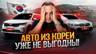 Авто из Кореи: Выгода или Ловушка? | Реальные Цены и Примеры