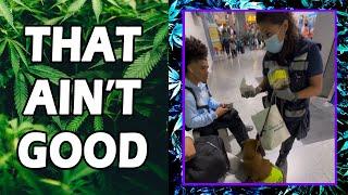 WEED MEMES & Fail Compilation [#230] - Fatally Stoned