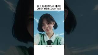 뭔가 놀이공원 느낌 난다는 '빌려온 고양이' 브금『아일릿』