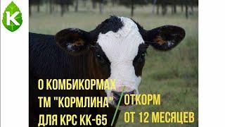 КК 65 Откорм