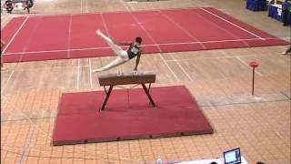 Mayank Srivastava 3rd Asian gymnastics Championship Surat Pommel Horse