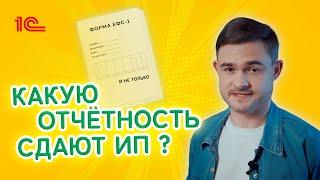 Какую отчетность сдают  ИП