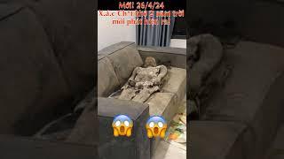 NÓNG | Xác chết khô 2 năm mới được phát hiện tại căn hộ CC #tinnong #tinmoi #xacchetkho