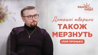 Як потурбуватись про тварин під час похолодань? | Ранок надії