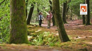 NORDPFADE – Genusswandern im Landkreis Rotenburg (Wümme)