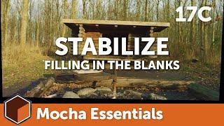 17c Stabilize Module - Borders [Mocha Essentials]