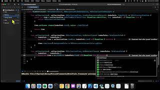 macOS Development with AppKit - 52 - Allowing Selections in a Collection View