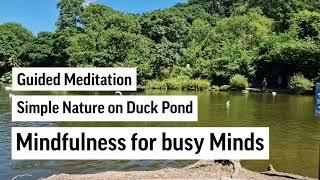 Embracing the Moment: A Duck Pond Meditation | Steven Webb