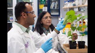 Game-changing spray to revolutionise pest control