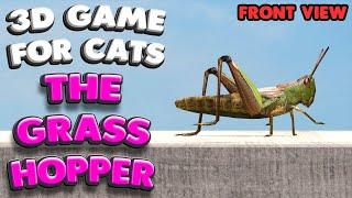 3D game for cats | CATCH THE GRASSHOPPER (front view) | 4K, 60 fps, stereo sound