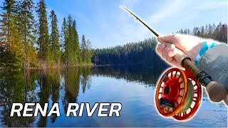 Fishing Norway's Most LEGENDARY River for Big Trout!! (Rena)