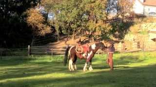 Horse Archery