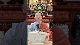 모든 일상 생활에서 알아차림으로 수행하라