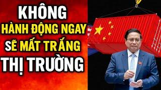 Chống Lại Hàng Nhập Khẩu Giá Rẻ: CHIẾN LƯỢC THÀNH CÔNG!