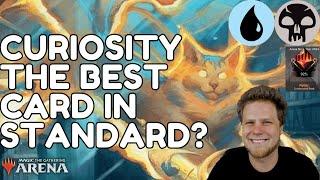 Is Dimir Just The Best Deck In The Format?!  MTGA Standard  Dojo Testing