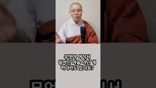 모든 것은 지금 여기서 생겨난(떠오른) 개념(마음)#견성#깨달음#참선#명상