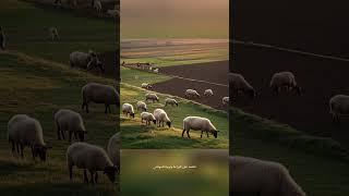 كيف كان العصر القديم و كيف كانت الحياه القديمه #قصص_واقعية #قصص_حقيقية