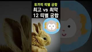 토끼띠에게 복을 가져다 주는 띠는? 띠궁합! 토끼띠와 만나면 최고 vs 최악의 궁합 띠 #띠별운세, #띠별궁합, #사주, #대박,