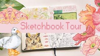  Sketchbook Tour 3 Sketchbook flipthrough