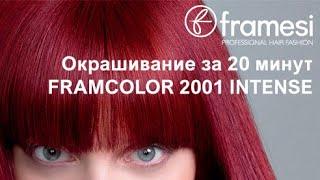 Окрашивание за 20 минут Краситель FRAMCOLOR 2001 INTENSE