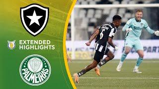 Botafogo vs. Palmeiras : Extended Highlights | Brasilerao Série A | CBS Sports Golazo South America