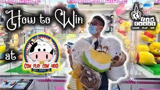 HOW WE WON 6 TOYS at Cow Play Cow Moo!