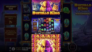 словил максвин в buffalo king #slot #casino #crazy #maxwin #заносынедели