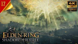 Elden Ring Shadow of ERDtree [12]  Командующий Гай