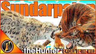 Hunting Tigers, Snow Leopards, & MORE on Sundarpatan! | Call of the Wild