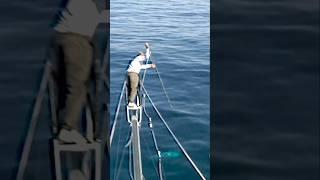 Harpooning Giant Bluefin Tuna #shorts #fishing