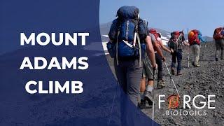 Forge Biologics: Mount Adams Climb